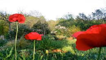 Jardin naturel en Occitanie